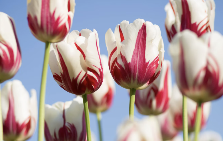 Miyako Nailを応援してくれる、素敵なBeautyのプロたち